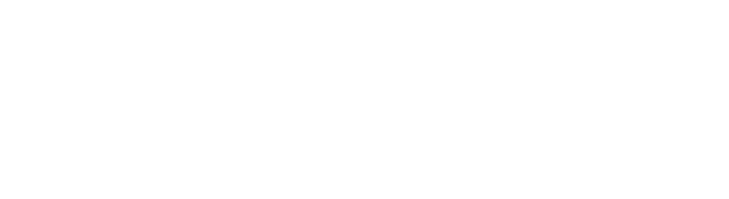 BOYO